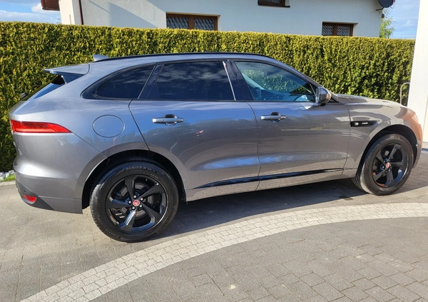 Jaguar F-Pace cena 116990 przebieg: 84000, rok produkcji 2018 z Dynów małe 781
